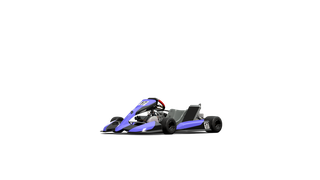 Racing Kart 125 Shifter